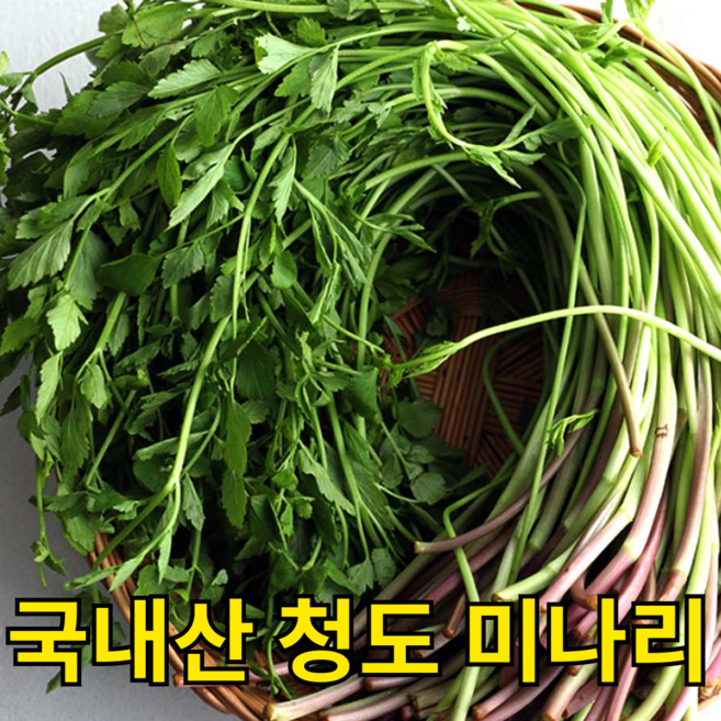 [한정수량] 아삭향긋 국내산 청도미나리 세척미나리, 500g, 1개