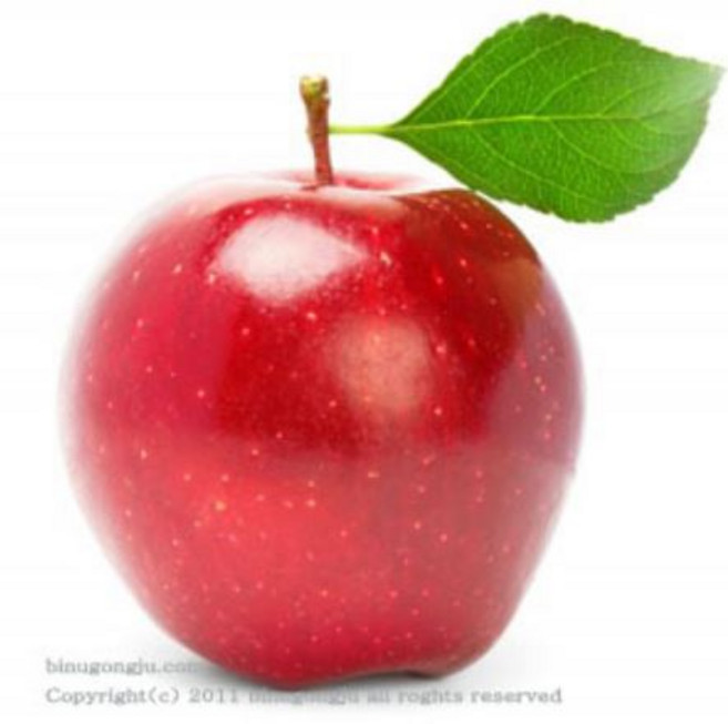 사과향(Apple F.O)프래그런스 오일, 100ml, 1개