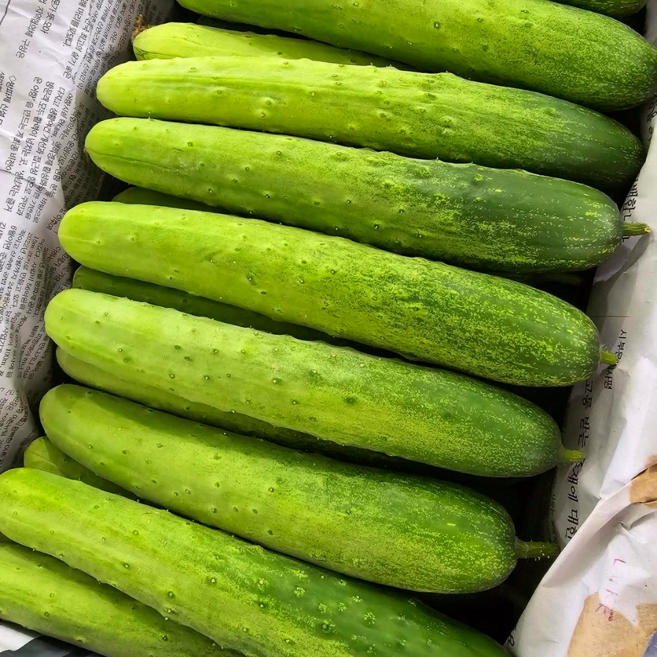 국내산 백오이 백다다기 오이, 1개, 1kg