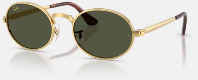 Ray-Ban 雷朋 RB3931 橢圓金屬太陽眼鏡