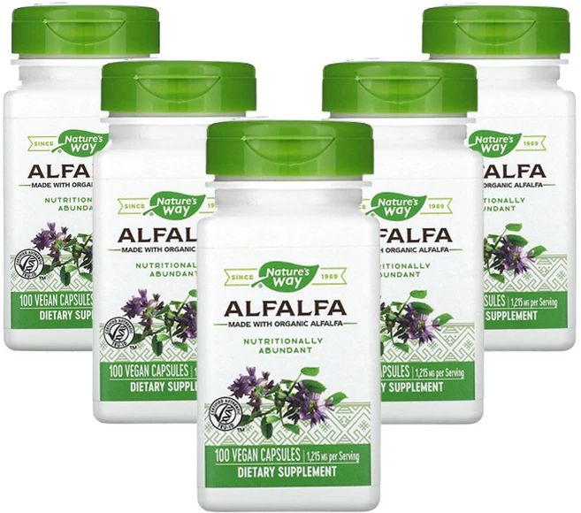 네쳐스웨이 알팔파 1 215 mg 100비건 캡슐, 100정, 5개 - 쿠팡