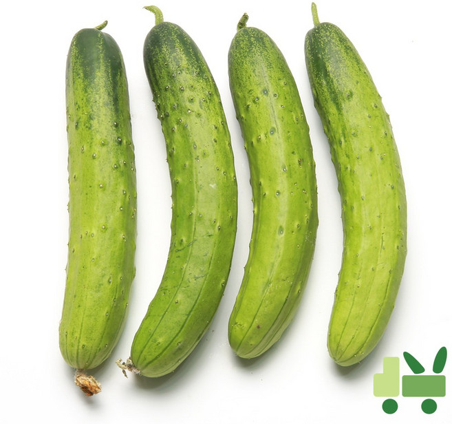 사라상회 백다다기 오이 (백오이) 10Kg (상), 1개