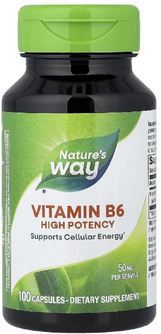 Nature's Way 비타민B6 50mg 캡슐 100정 NWY-40431, 1개 - 쿠팡