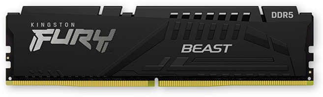 [공식수입사] Kingston DDR5-5600 CL36 FURY Beast 블랙 16GB 코잇, 1개