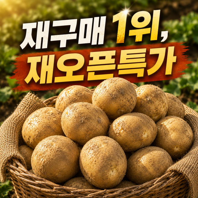 [감사특가] 26년 강원도 햇 감자 특별할인, 1박스, 햇감자 왕특 5KG