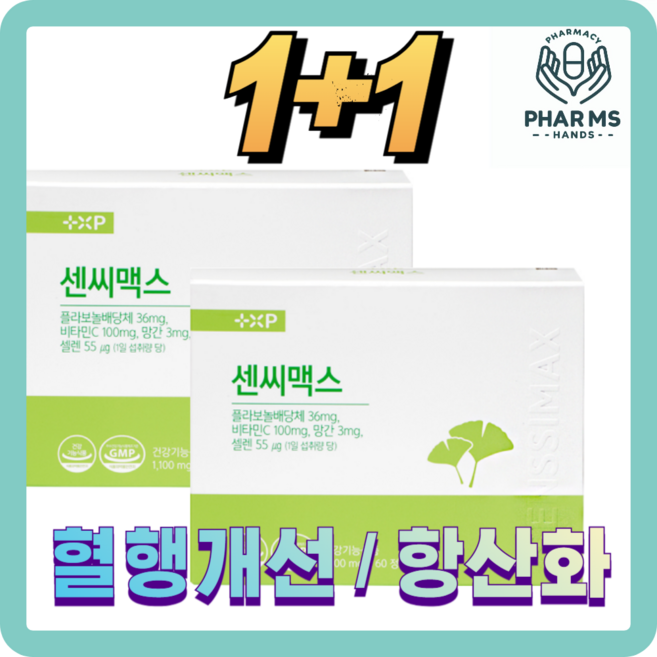 [팜스핸드]플라보놀배당체 징코성분 혈행개선 혈액순환 항산화 깜빡거리는분, 1개, 120정