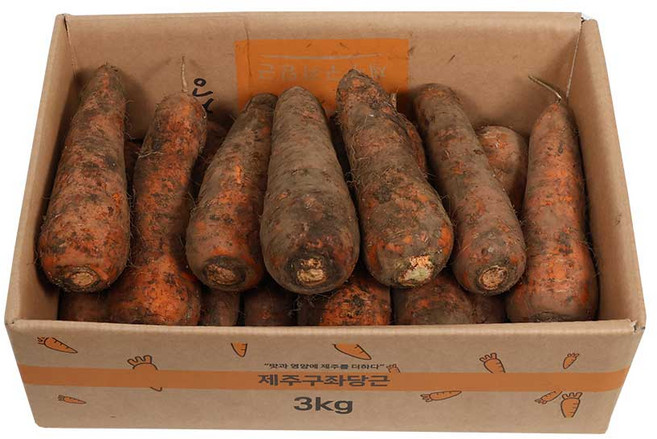 삼다몰 제주 구좌 당근, 1박스
