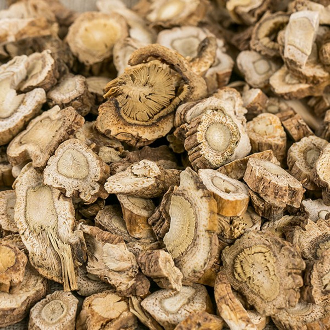 국산 독활(땅두릅뿌리) 600g 땅두릅 독활뿌리 차 효능 한방재료 한약재 약초, 1개