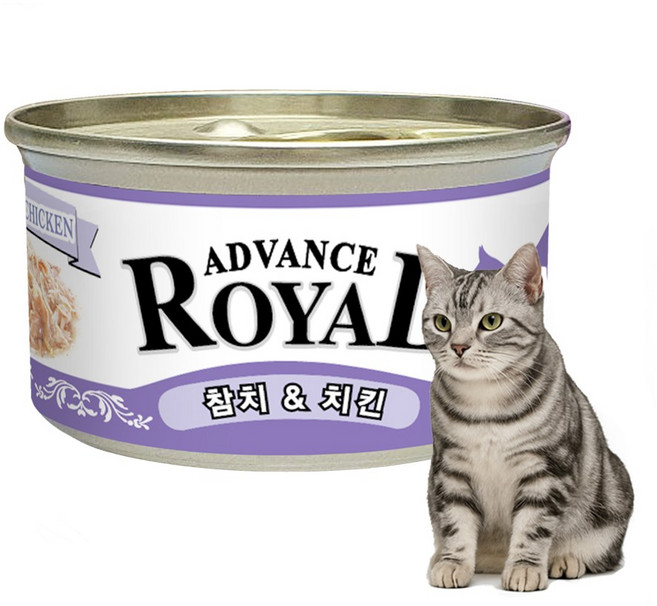 로얄 어드밴스캔 고양이캔, 85g, 치킨, 24개