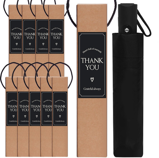 CV 3단 전자동 우산+선물 케이스