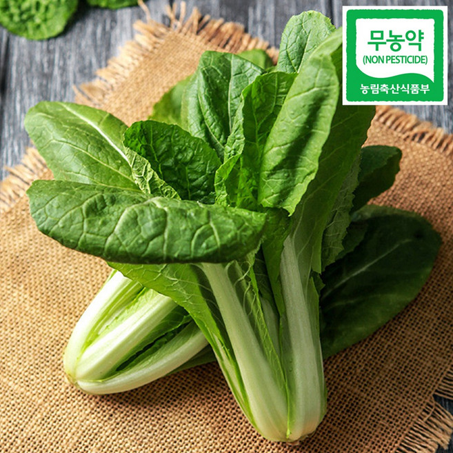 친환경 무농약 얼갈이배추 1kg, 1박스