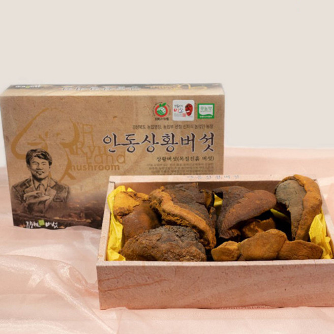 류충현상황버섯 상황버섯선물세트 국산상황버섯 뽕나무상황버섯 헬스케어제품 약용버섯 목질진흙버섯 부모님선물고급선물세트, 1세트