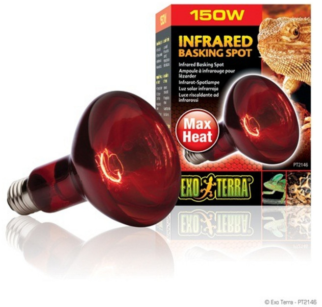 엑소테라 파충류 적외선 램프 150W, 혼합색상, 1개