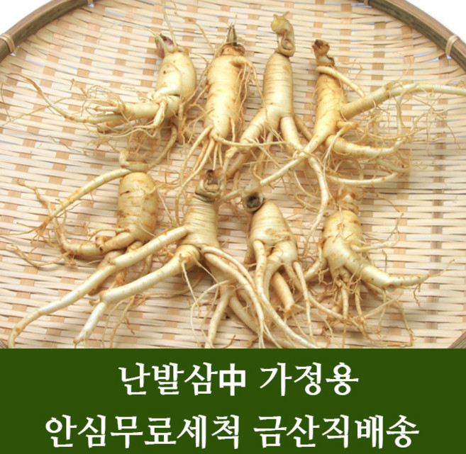 금산 수삼 인삼 난발삼中 잔뿌리 무료 세척 4년근 5년근 6년근 파삼 홍삼용 쥬스용 씻은 인삼 행복한삼, 05. (세척X)미삼잔뿌리750g, 1개