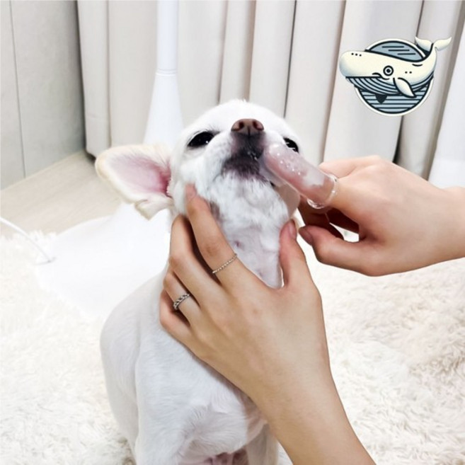 강아지 양치 실리콘 손가락 칫솔 애완용 구강 강아지손가락칫솔 강아지칫솔 고양이칫솔, 없음, 상세설명 참조, 상세설명 참조