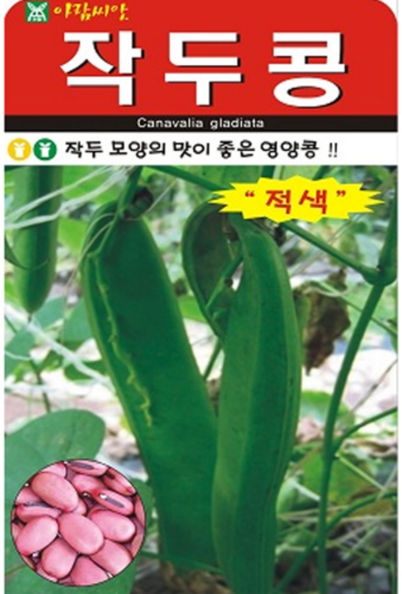 아람 적색 작두콩 씨앗 5립 영농사 작두콩씨, 5개
