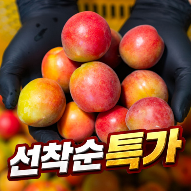 [100박스한정특가] 국산 노천 와인 매실, 1박스, 4.5kg