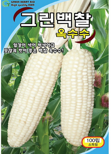 (씨앗) 백찰옥수수 - 맛있고 자루가 큰 옥수수 씨앗 - 텃밭용 소포장 - 100립, 1개