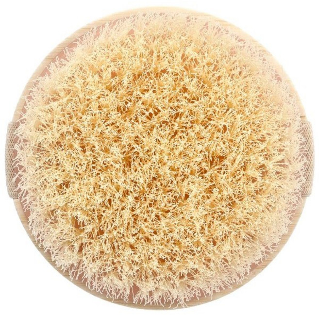 에코툴즈 드라이 바디 브러쉬, 우드, 1개입, 1개