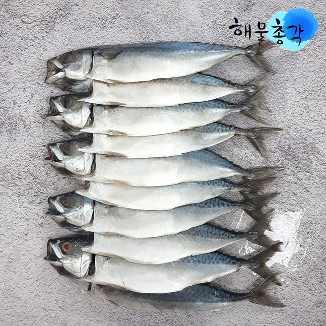 해물총각 간고등어 10마리 국내산 손질 자반고등어, 2.7kg, 10개