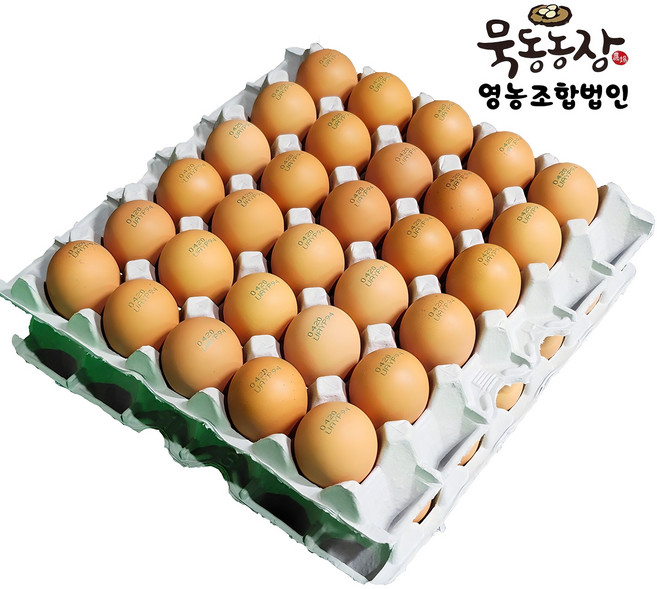 [묵동농장]난각번호3번 HACCP인증 무항생제 특란 60구 바른계란 무정란, 30구, 2개