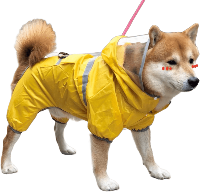 狗狗連帽反光條寵物防水雨衣, 黃色, 1個