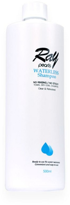 워터리스샴푸 물없이감는샴푸 노린스 레이펄스 워터리스 샴푸 리필 500ml fuc+09518Vp, 1