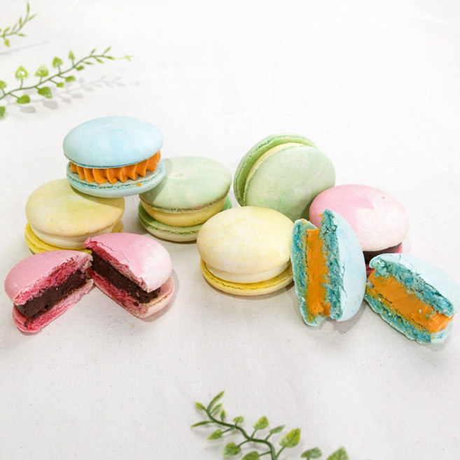 달숲 클래식마카롱 바닐라 초코 황치즈 요거트맛/깔끔한 개별포장, 8개, 22g