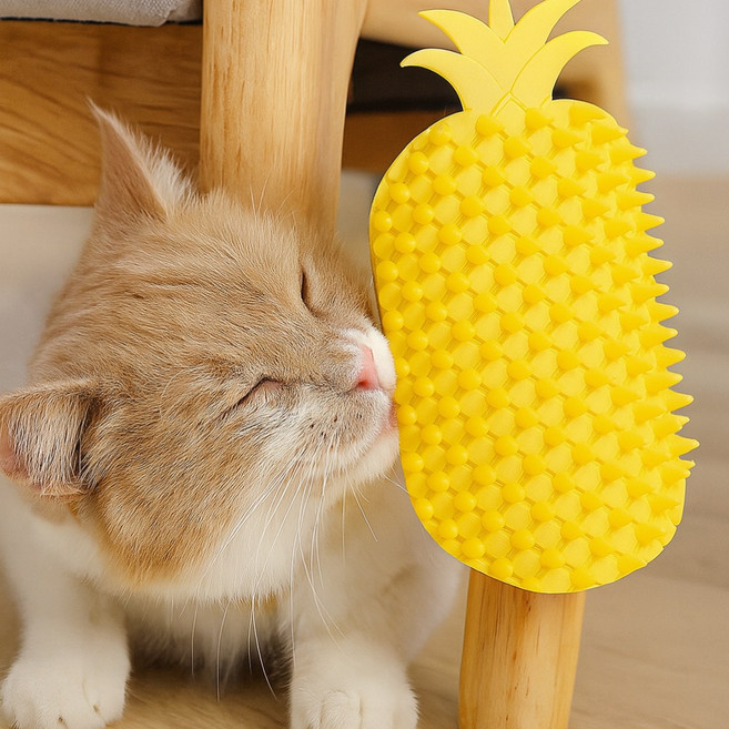 1+1 헬스와미 부착형 파인애플 고양이 그루밍 브러쉬 셀프 장난감, 1세트