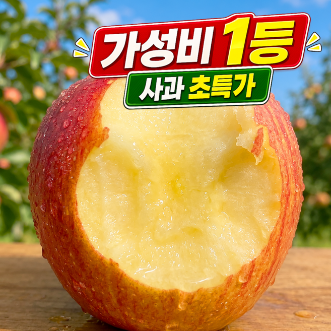 [가성비1등 초특가] 부사 사과 고당도선별, 1박스, 5kg 대과