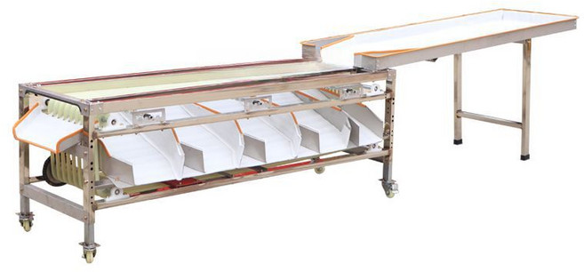 밤선별기 사과 대추 과일 과수원 정선기 감자 조절, 컨베이어