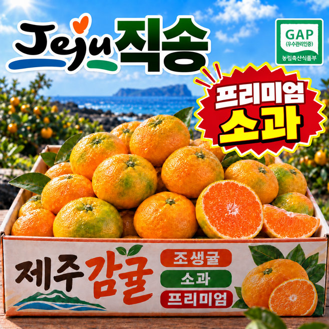 고당도 제주 감귤 산지직송, 1개, 3kg (소과)