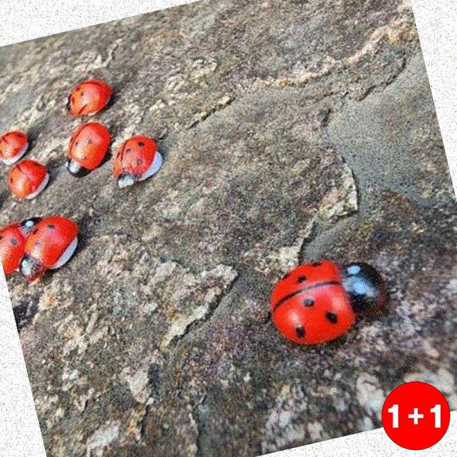 부착형소품 부착형 무당벌레 화분 장식 가든 인테리어 소품 블루베리화분 세라믹화분(1+1옵션 주문수량의 2배수량 배송), 상세페이지 참조