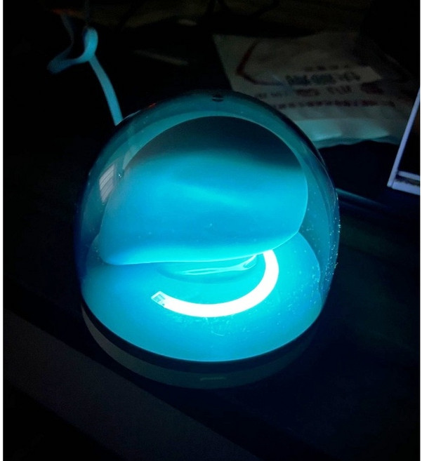 小海豚 睡眠燈 智慧恆溫助眠氣氛燈, 小海豚plus藍