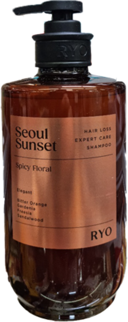 려 자양윤모 탈모증상전문케어 샴푸 서울석양 585ml, 2개