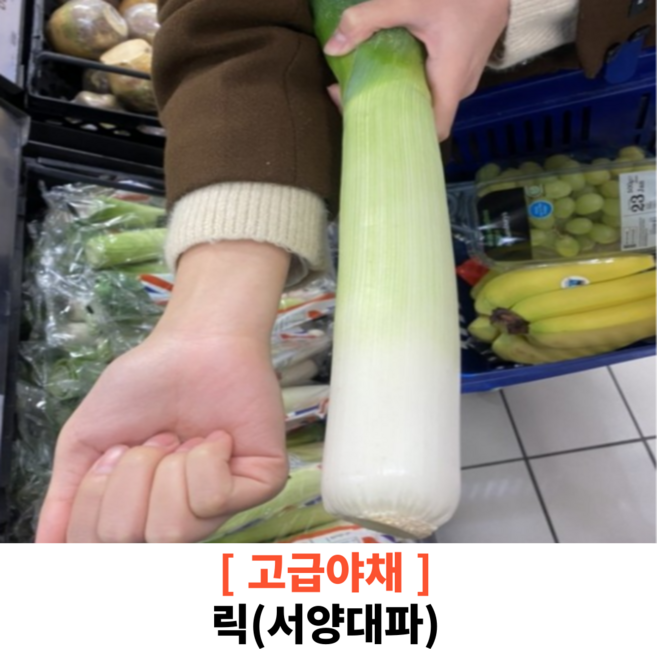 크고 싱싱한 릭 서양대파 leek 400g 대파 미국대파 서양야채 서양채소 리크 외국 대파, 1개