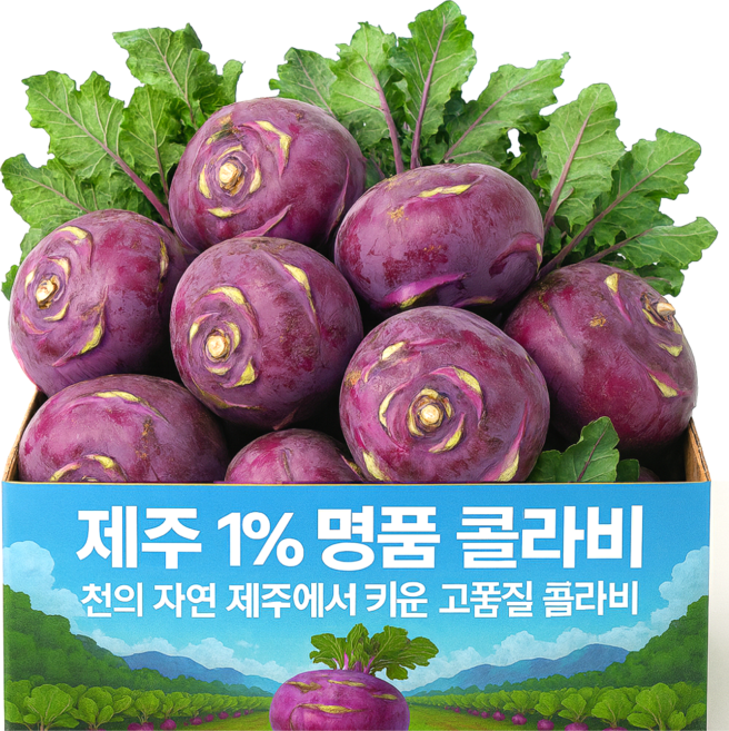 [200개 정품특가] 콜라비 제주콜라비 햇, 1개, 3kg