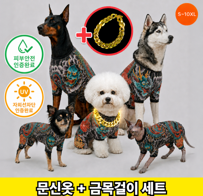 런앤온 반려동물 문신옷 타투 올인원 골드체인 2종 세트, 1개, 개레즈미