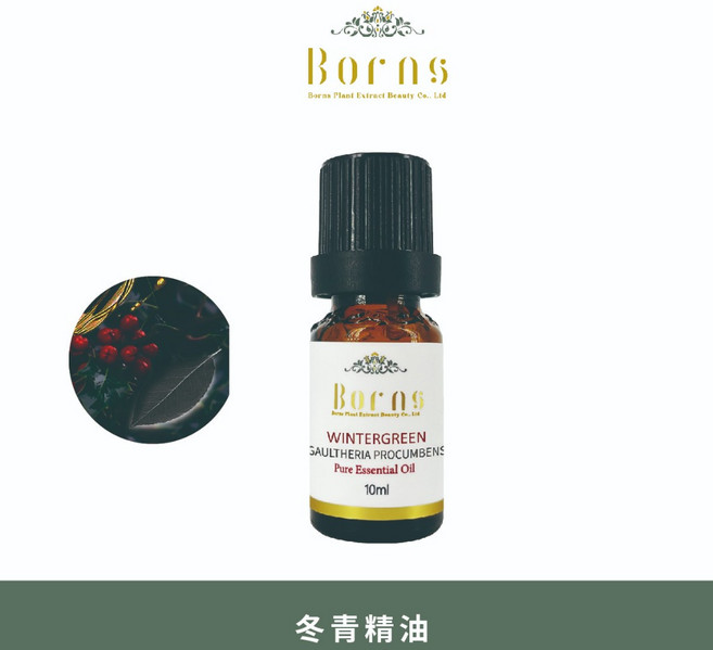 Borns-博恩詩植萃 冬青精油 10ml 香氛精油 居家生活 消除異味, 1個