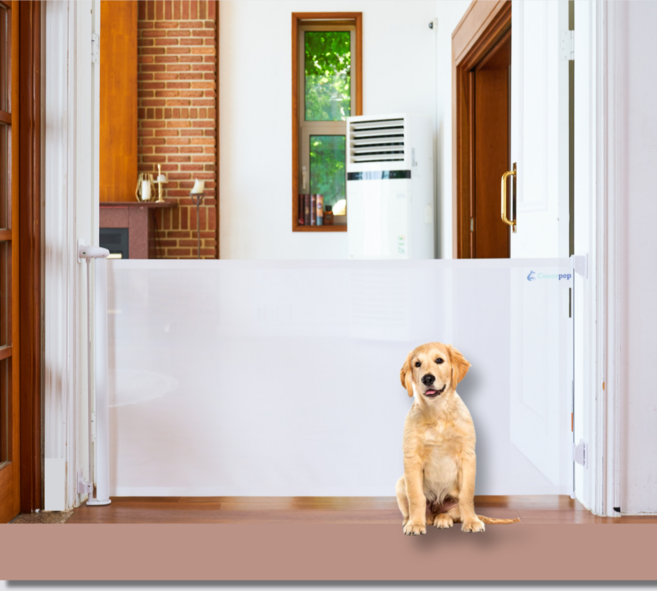 롤리 강아지 안전문 특대 고양이 안전 펜스, 스톰그레이, 점착키트(스티커고정형)