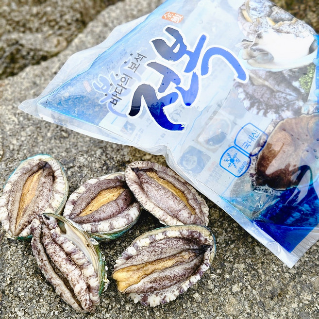[산소포장]완도 싱싱 활 전복, 1개, 12호 중소전복 1kg(22미)