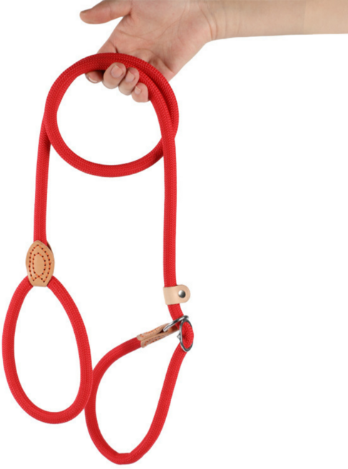 탈출방지 훈련 및 산책용 강아지 목줄 로프 리드줄, 1개, 01. 레드 S(T901)