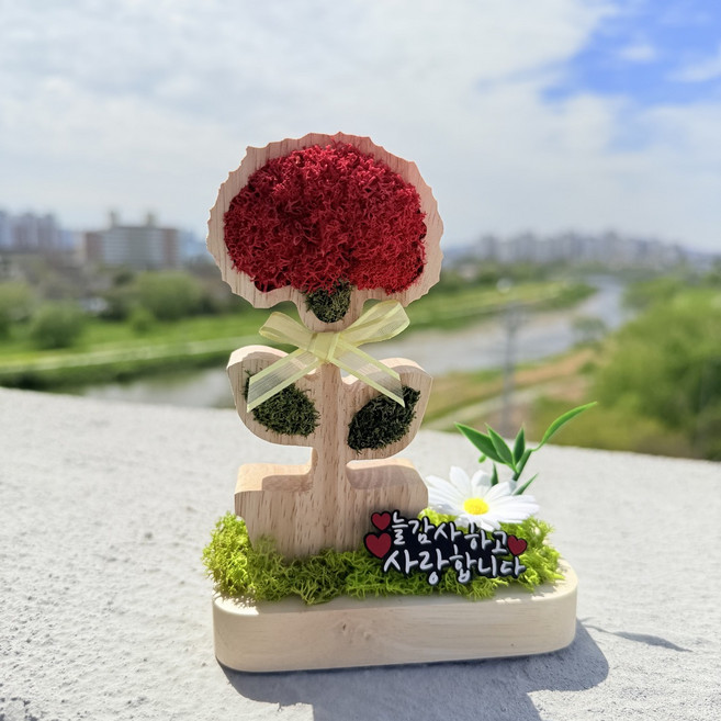 어버이날선물 시들지않는 카네이션 화분형 액자 스칸디아모스 부모님선물, 1개, 레드계열