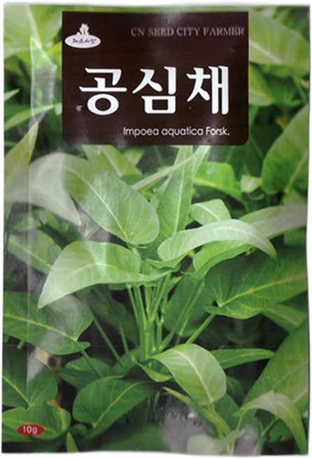 청농 공심채 씨앗 10g 모닝글로리씨, 1개 - 쿠팡