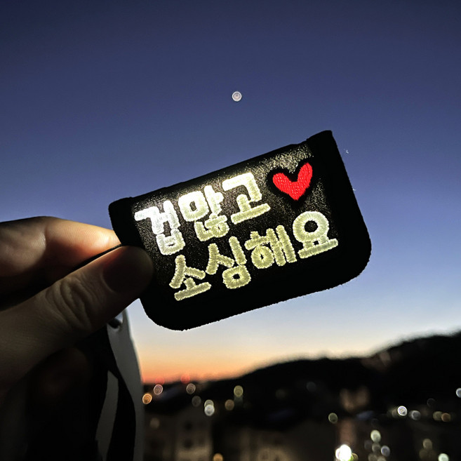 따봉공방 자체제작 커스텀 메시지 안전한 밤산책 강아지 자수 네임택 LED 야광 형광 슬로건 명찰 펫라이트 스트랩, 1개, 형광옐로글씨+벨크로