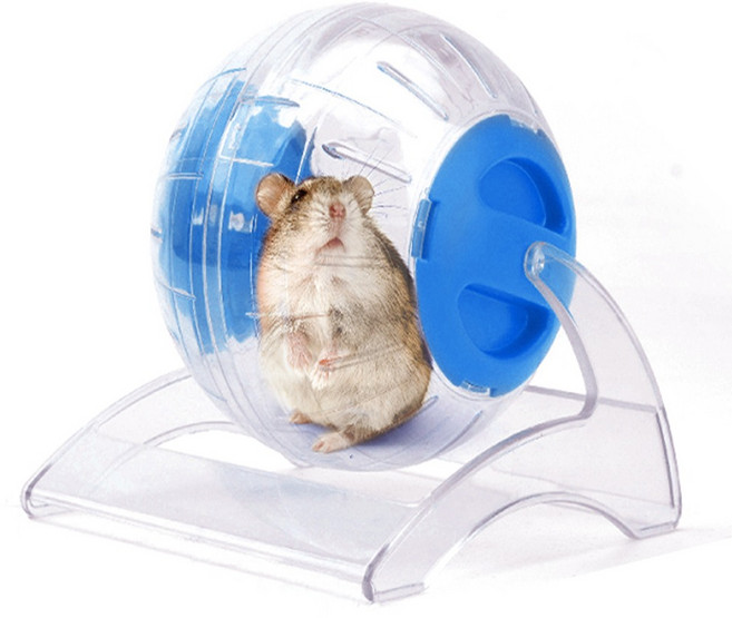 뉴에이지 햄스터 스탠드형 런닝볼 (블루) NA-H124, 블루, 1개