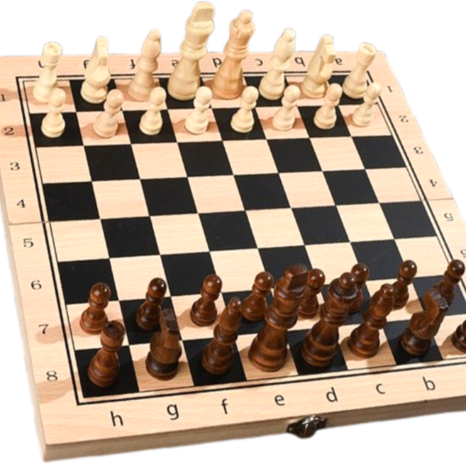 다실 두뇌훈련 체스 체커 세트, 1개, 베이지