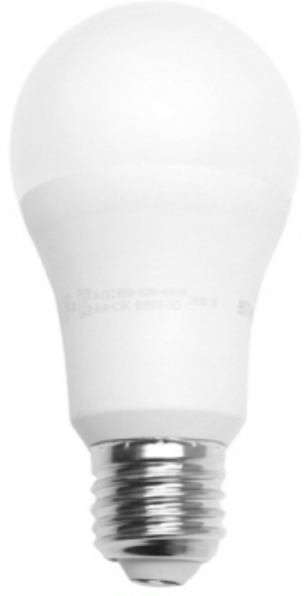 번개표 LED전구 10W, 주광색, 20개