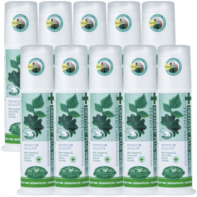 덴티스테 플러스화이트 펌프형 치약, 120g, 10개