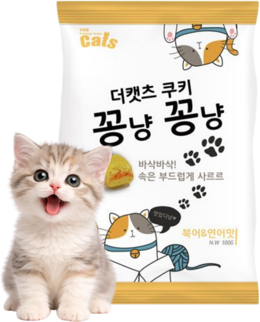더캣츠 꽁냥꽁냥 고양이 바삭 스낵, 1개, 연어, 100g